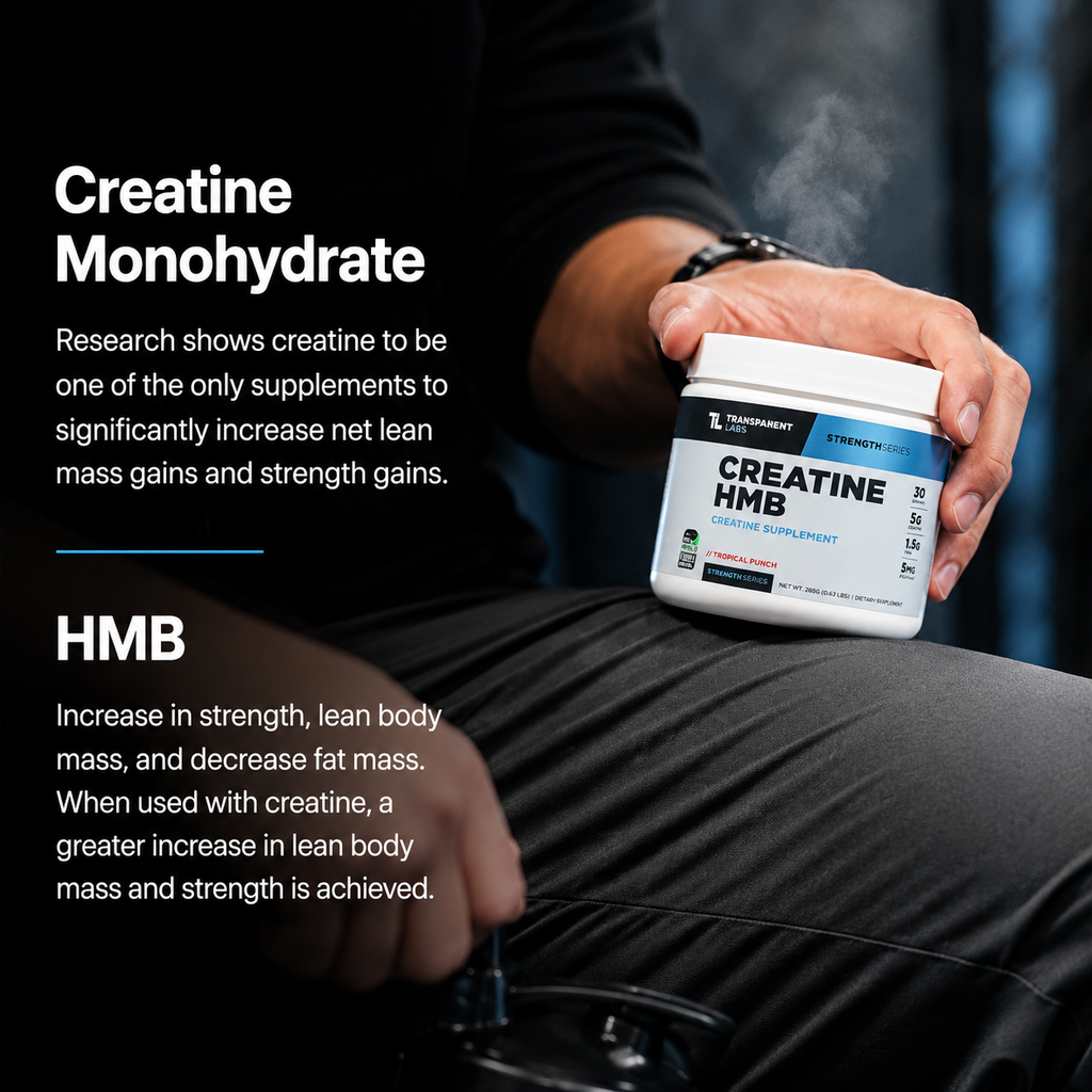 Creatine HMB Supplement Transparent Labs – Creatine HMB Strength Supplement Tropical Punch 30 Servings 285g